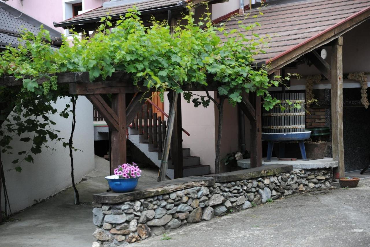 Wellness B&B Winery Sontacchi Kutjevo Exteriér fotografie